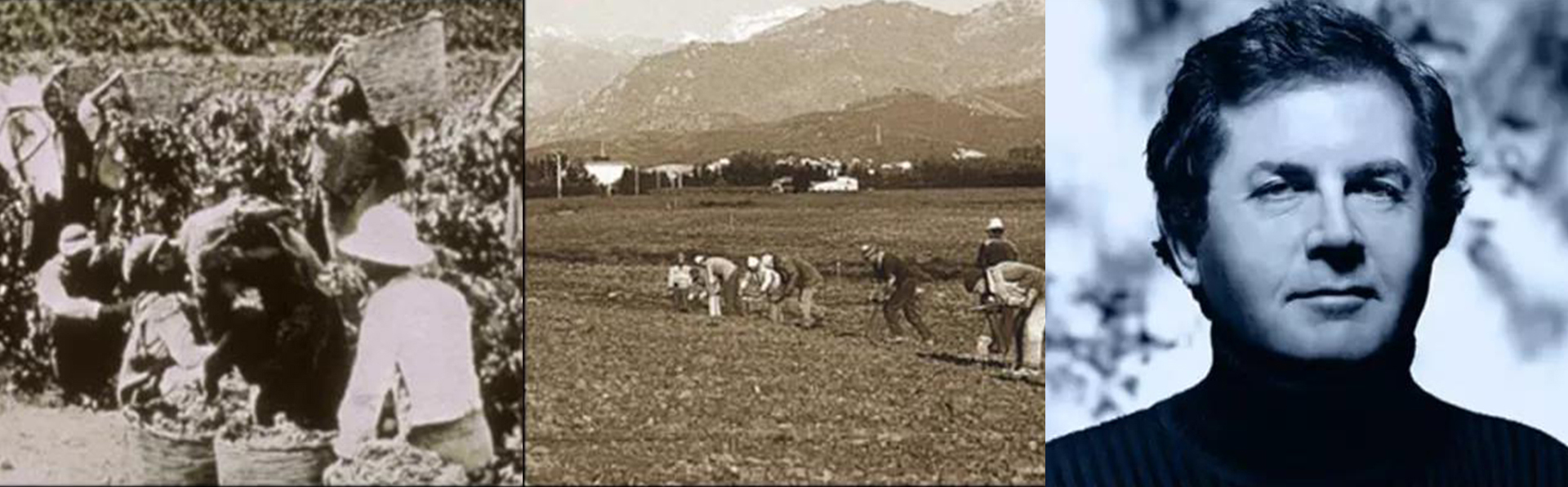 1574059239589861.jpg 未標題-2.jpg