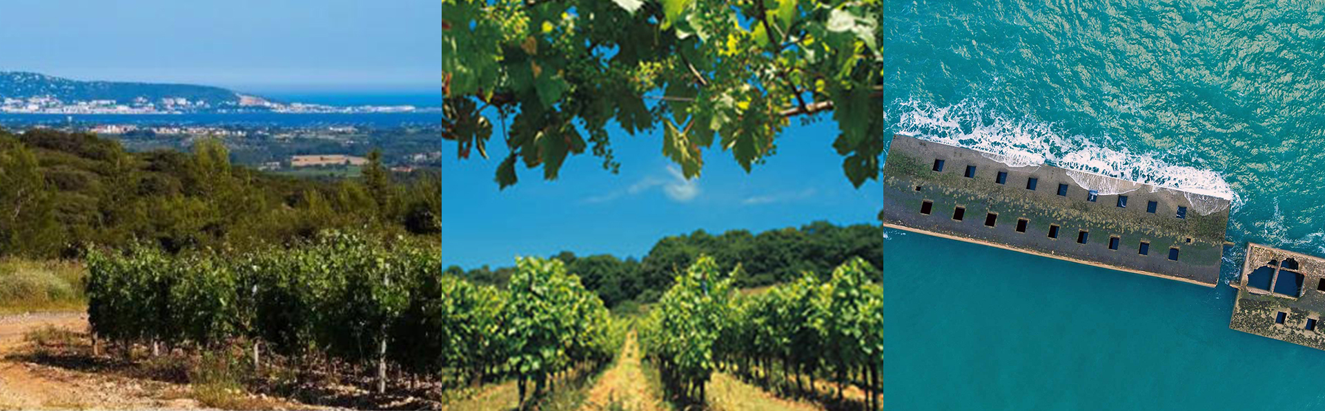 1574059644652608.jpg 未標題1.jpg