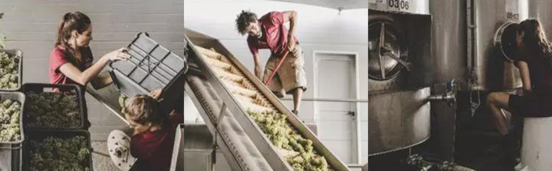 1574065739389782.jpg 未標題11.jpg