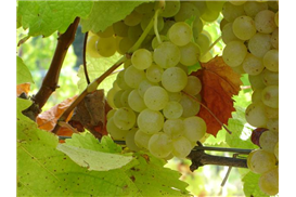 1575269227445293.jpg 76eb6cd3-a51f-44b2-90db-26b5850b9af2.jpg