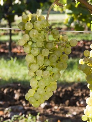 1575272123800559.jpg 40beb5cb-92ab-4f0b-8caf-ad37e6e8f189.jpg