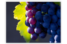 1575272300267152.jpg 912f6999-9168-4a6d-baf9-766c0b319607.jpg