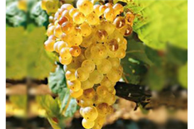 1575273098351345.jpg f85cd6f9-75f0-4b9d-b095-5c964fc39cc5.jpg